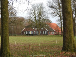 Stepelo | Aan de Beckummerweg